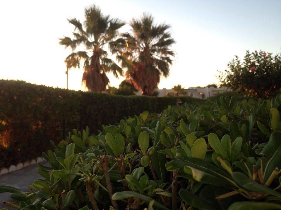 Hotel Complexe Touristique Sidi Salem Bizerte Exterior foto